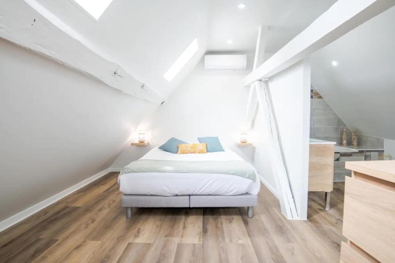 Comfortable Air-Conditioned T3 In The Heart Of Amboise With Parking Space Exterior photo