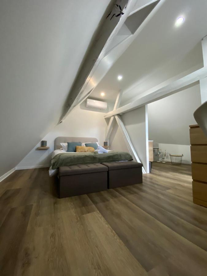 Comfortable Air-Conditioned T3 In The Heart Of Amboise With Parking Space Exterior photo