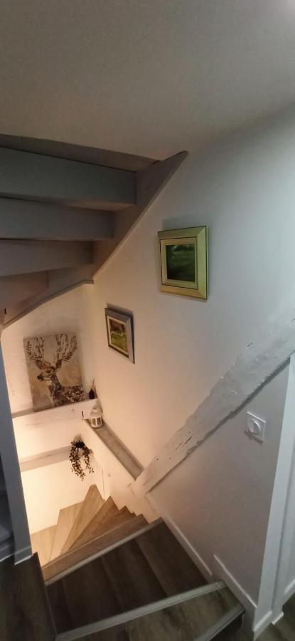 Comfortable Air-Conditioned T3 In The Heart Of Amboise With Parking Space Exterior photo